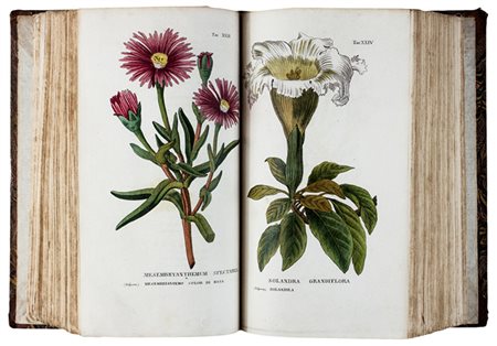 Piccioli Antonio,&nbsp;L'Antotrofia ossia la Coltivazione de' fiori.Firenze:...