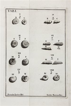 Plancus Ianus [pseud. di Bianchi Giovanni Antonio],&nbsp;De Conchis minus...