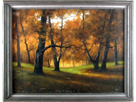 Firma illeggibile (XX secolo) Riflessi di luce nel bosco 60x79 cm Olio su...