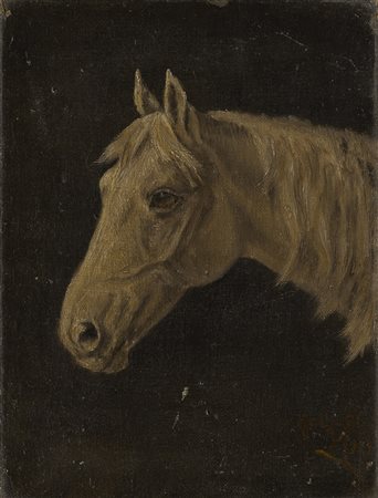 Firma indecifrata &quot;Testa di cavallo&quot; olio su tela applicata su...