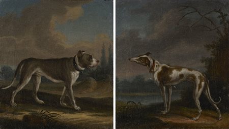Maestro del sec. XVIII "Levriero e mastino in un paesaggio" coppia...