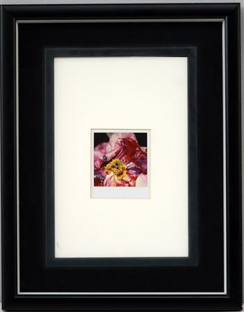 Araki Nobuyoshi (Tokyo 1940) "Senza titolo" (fiore) Polaroid (cm 10,8x9)...