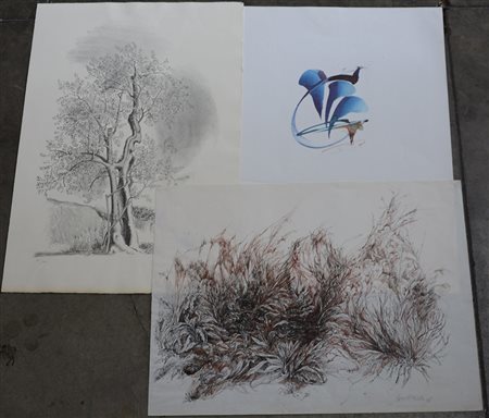 Cartella contenente numerose litografie e acqueforti di misure diverse (lievi...