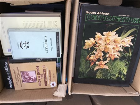 Lotto composto da numerose opere di diverso argomento, fra cui romanzi e...