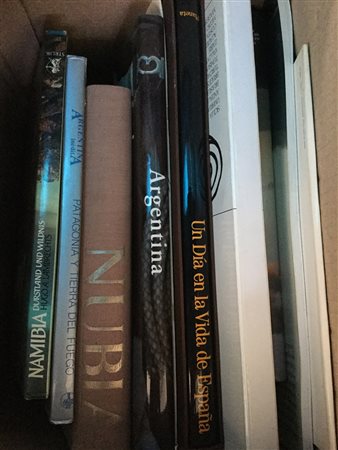 Lotto composto da svariati libri principalmente di arte. In quattro cartoni.