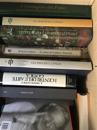 Lotto composto da due cartoni contenenti diversi volumi di vario genere...