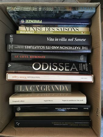 Lotto composto da due cartoni contenenti numerosi volumi illustrati inerenti...