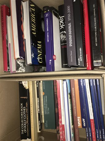 Lotto composto da due cartoni contenenti numerosi volumi illustrati tra cui...