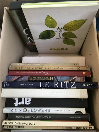 Cartone contenente numerosi volumi inerenti l'architettura e l'arredo di...