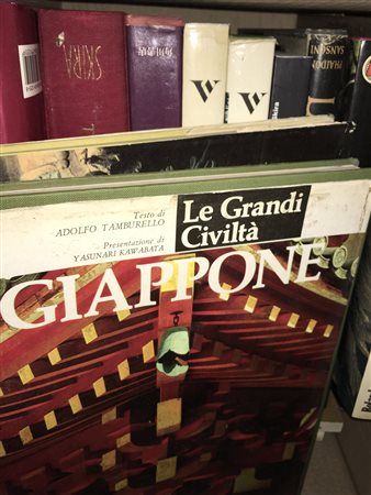 Lotto composto da diversi volumi illustrati inerenti le arti e le culture...