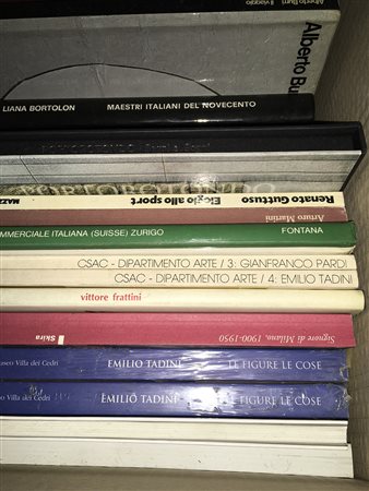 Lotto composto da diversi volumi illustrati e testi critici riguardati la...