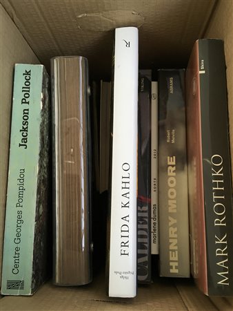 Lotto composto da diciannove volumi illustrati inerenti alla pop art e di...