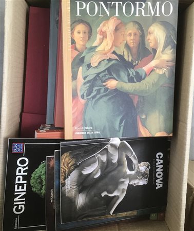 Lotto di 3 cartoni contenenti romanzi e volumi inerenti la storia.