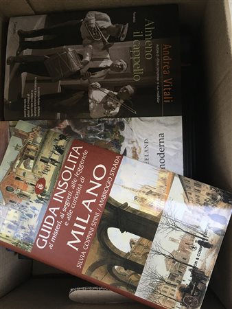 Lotto di 4 cartoni contenenti numerosi romanzi e volumi inerenti l'arte e la...