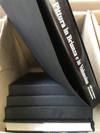 Lotto composto da alcune pubblicazioni inerenti l’arte. In cartone.