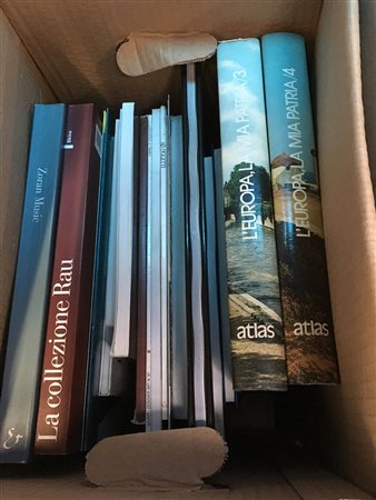 Lotto composto da libri di vario argomento, fra cui opere di critica d'arte e...