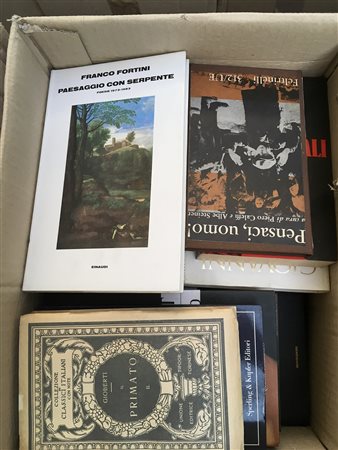Lotto composto da numerosi romanzi e libri di diversa epoca e soggetto. In 5...