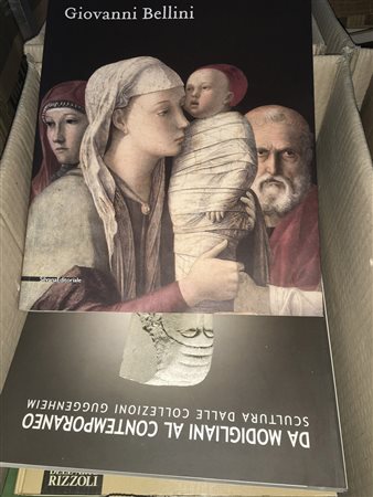 Lotto composto da diverse pubblicazioni inerenti soprattutto la storia...