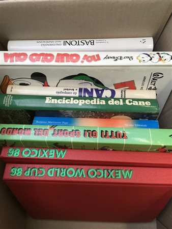 Lotto composto da libri di vario genere e romanzi. In 3 cartoni.