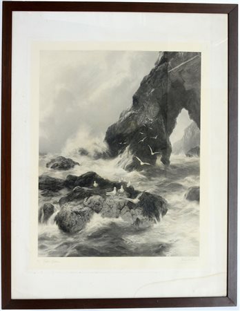 Firma indecifrata "Gabbiani sulla scogliera" litografia (cm 110x86 il folio)...