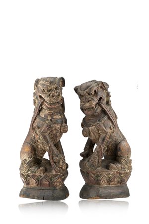 Coppia di sculture in legno raffiguranti leoni buddhisti su basi rettangolari...