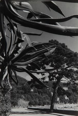 MONCALVO RICCARDO (1915-2008) Strada di Santa Margherita e Portofinoanni...