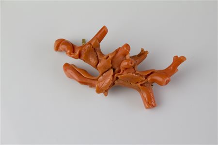 Spilla ramo di corallo mediterraneo, gr 21.25. . . [Nessun Autore]...