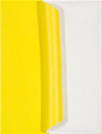 Antonio Baccarin, Senza titolo, 2010 Acrilico su tela e su arrotolamento in...