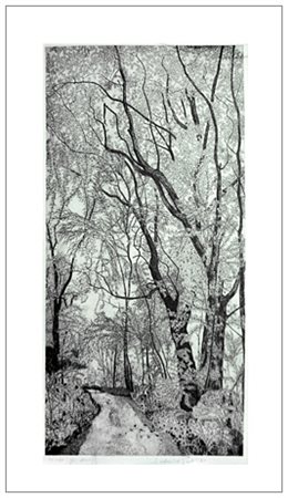 FEDERICA GALLI Soresina 1932 – Milano 2009 Gli olmi 1981 Acquaforte es.50/90....