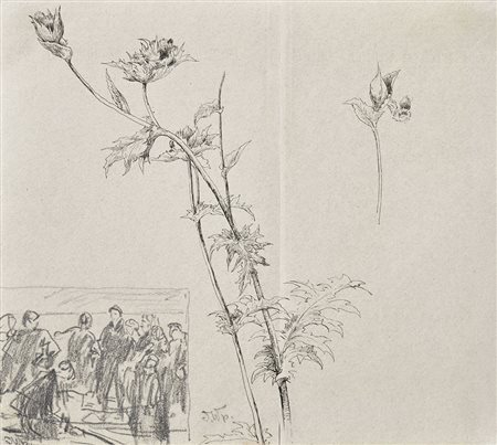 Josef Wopfner (Schwaz 1843 – München 1927) Studie einer Distel,...