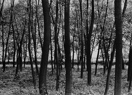 GABRIELE BASILICO (1944 - 2013) Rivalta Scrivia, anni 1970 Stampa vintage...