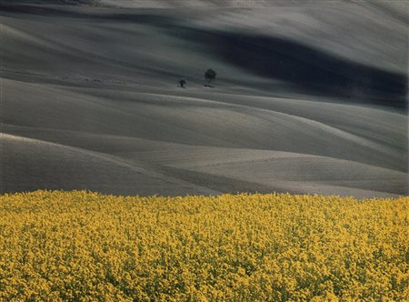 FRANCO FONTANA (1933) Paesaggio, 1990 Vintage C-print 29,8 x 39 cm (27 x 36...
