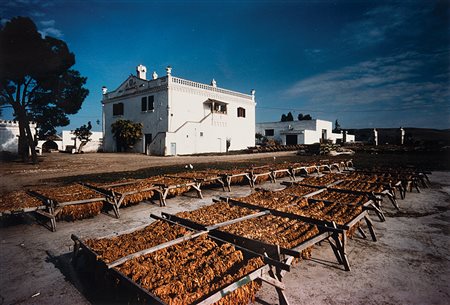 GIANNI BERENGO GARDIN (1930) Tabacco, Poggiorsini, Bari, anni 1990 Vintage...