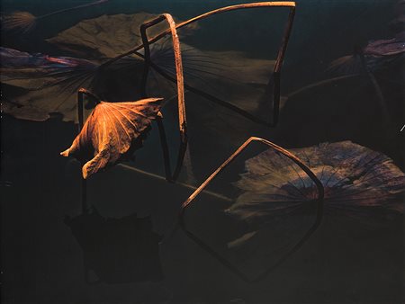 HUANG KEHUA (1943) The eye of the miracle nature, 2010 Vintage C-print su...