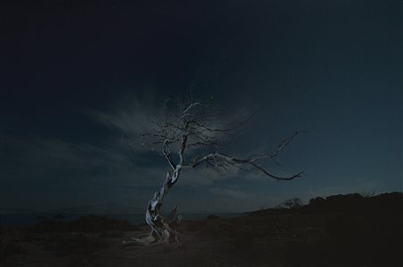 TONI MENEGUZZO (1949) Chrissi, 2017 Stampa inkjet su hahnemuehle 45 x 30 cm...