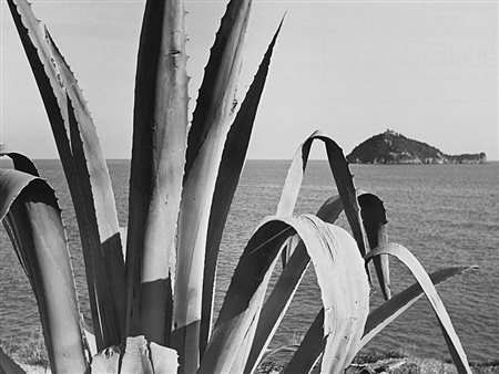 BRUNO STEFANI (1901 - 1976) Alassio, anni 1950 Stampa vintage alla gelatina...