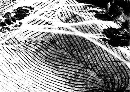 MARIO GIACOMELLI (1925 - 2000) Paesaggio, anni 1980 Stampa vintage alla...