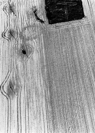 MARIO GIACOMELLI (1925 - 2000) Presa di coscienza sulla natura, 1993 Stampa...