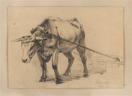 RICCARDO LOMBARDO (Genova 1893 - 1957) Bue, 1940 Matita su carta, cm. 22 x...