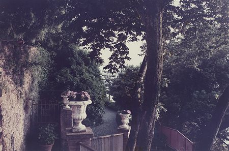 LUIGI GHIRRI (1943 - 1992) Nemi, castelli romani, 1982 stampa cromogenica, cm...