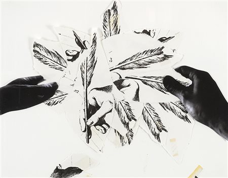 Giulio Paolini (Genova 1940)"Studio per il Cigno morto (dal Parsifal)"...