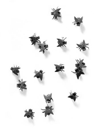 Alberto De Braud Milano 1959 Mouches 1995 Scultura in bronzo 30x25...