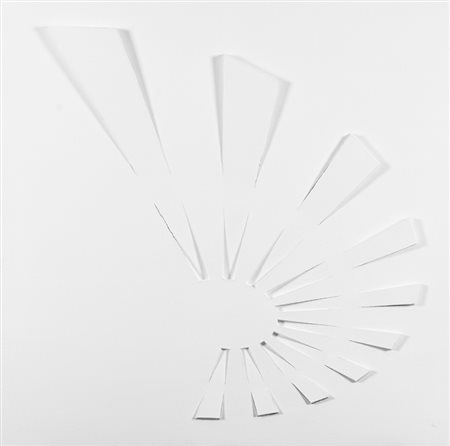 Tiziano Sgarbossa (Cittadella (PD) 1972 ) Ombre riflesse, 2015 Estrusione su...