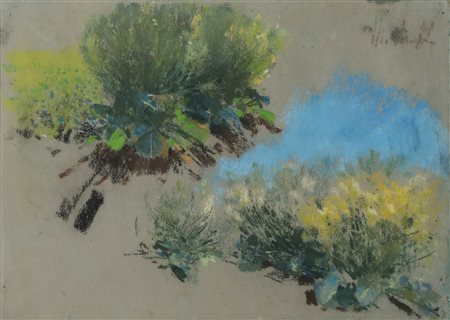 MICHETTI FRANCESCO PAOLO (1851 - 1929) Studio per cespugli. pastelli colorati...