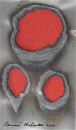 AUBERTIN BERNARD FRANCIA 1934 FER BRULE, 2010 LAMIERA BRUCIATA cm 49 x 30...