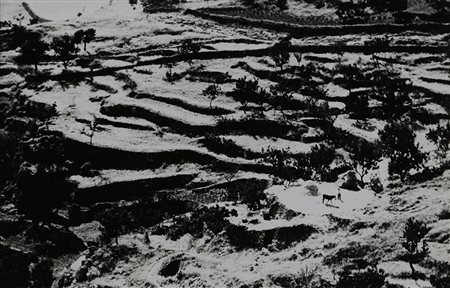 MARIO GIACOMELLI 1925 - 2000 Puglia Stampa alla gelatina ai sali d’argento,...
