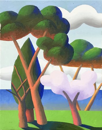 Salvo 40x50 primavera 2008 fronte autentica dell'artista su foto