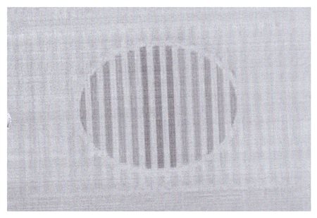 ELIO MARCHEGIANI Gramamture di colore 1998 supporto intonaco su carta Fabiano...