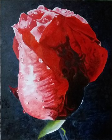 Moreno Pagliari Bocciolo-60x70 Olio su tela 2017 autentica dell'artista su foto