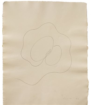 STEPHEN COX (1946)Senza Titolo, 1982Matita su cartacm 39x31,5Firma e...